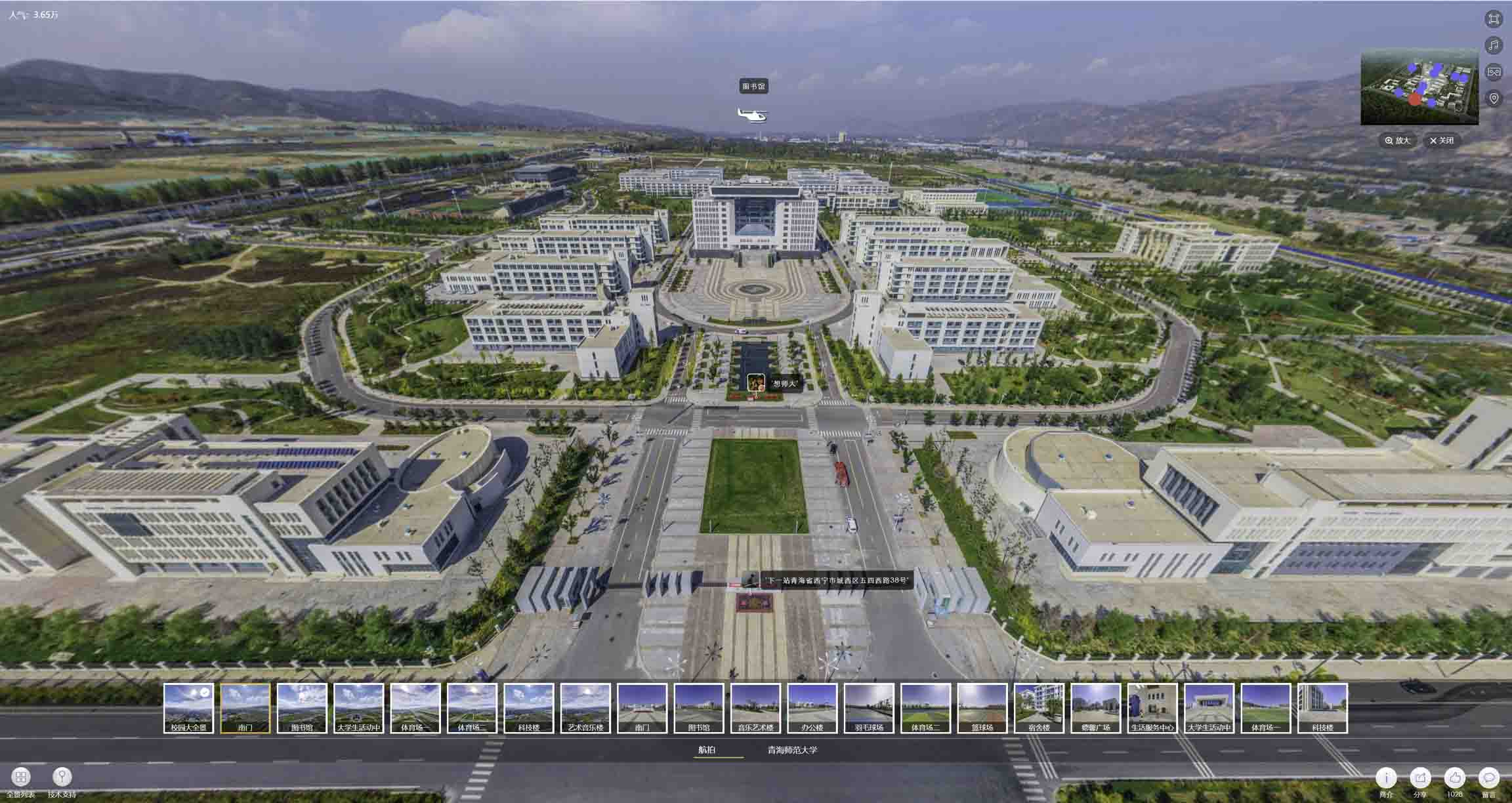 阳西油菜花-惊艳半生的花海仙境